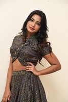 Kamna Singh Gallery